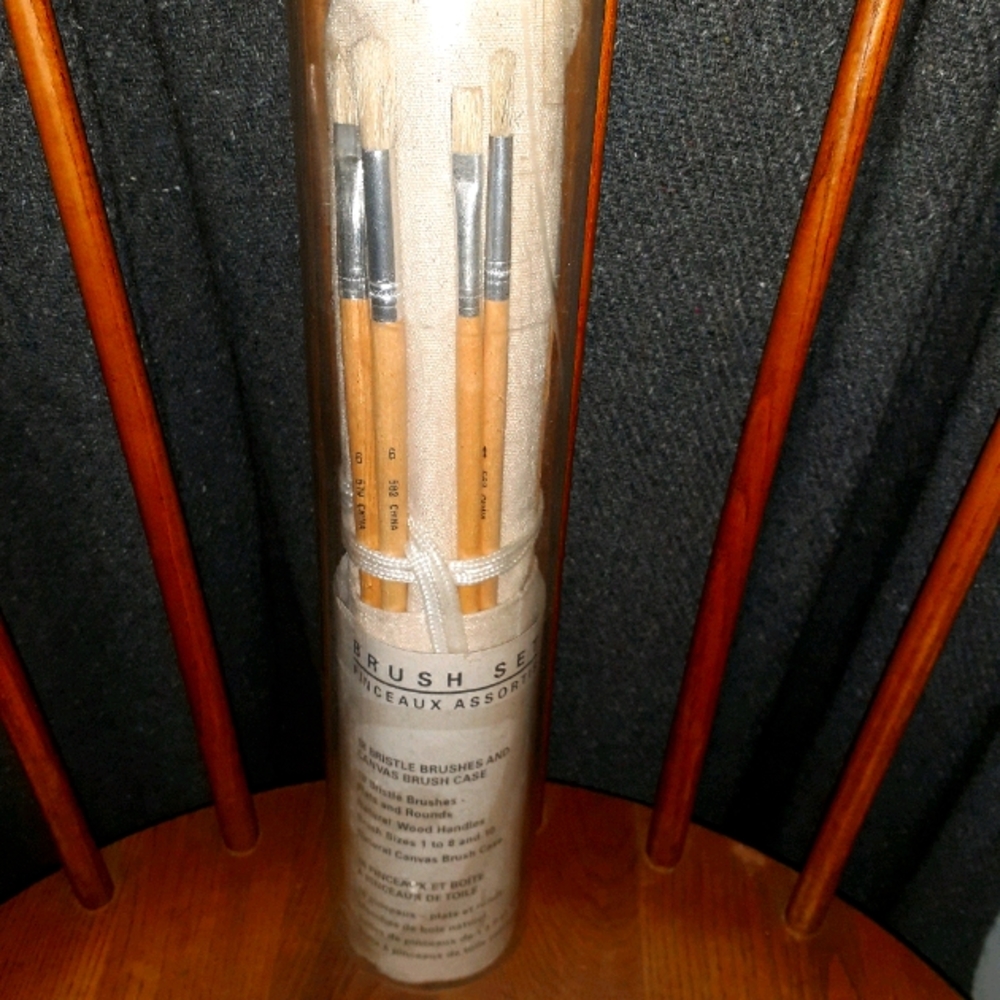 18 Bristle Brushes & Canvas Brush Case